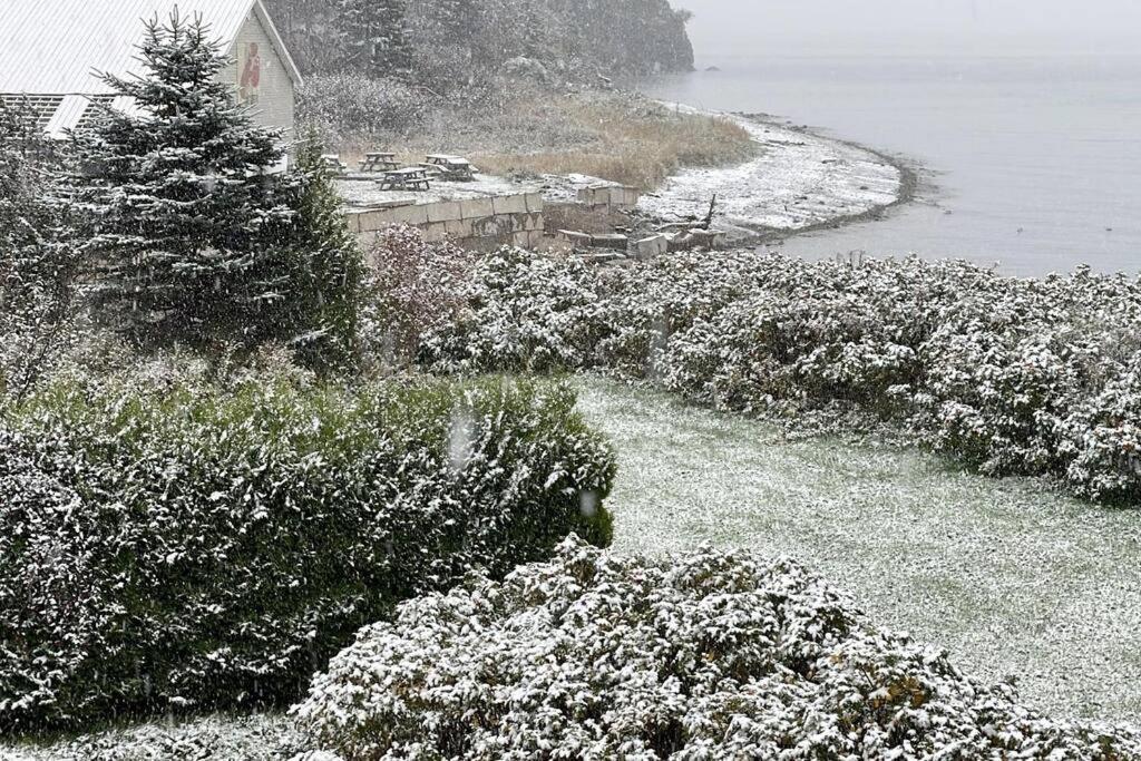 Finn'S Studio, Fundy Park อัลมา ภายนอก รูปภาพ